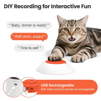 Pet Puzzle Feeder Toy