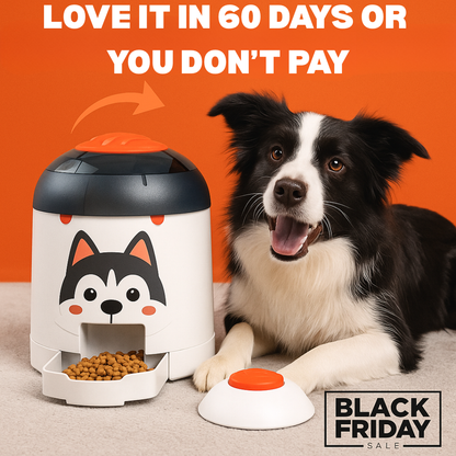 Pet Puzzle Feeder Toy