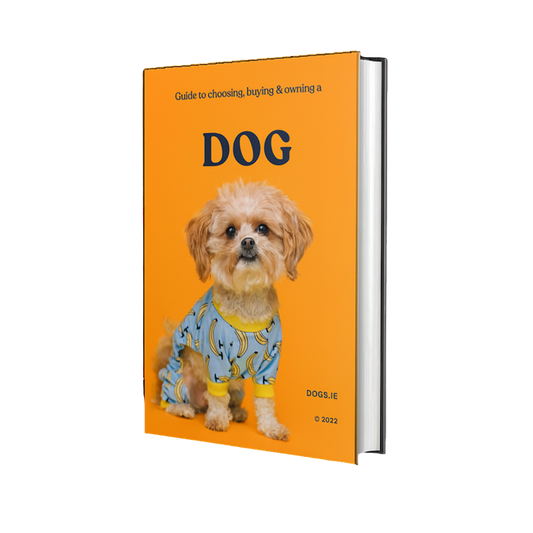 Dog Health Ebook